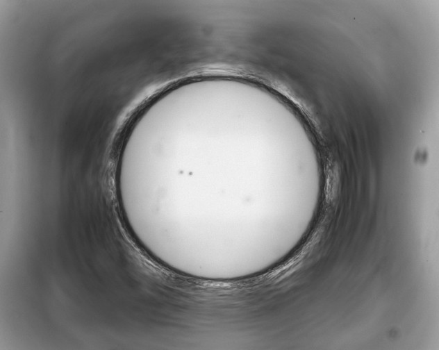 X0000099291454200805020722