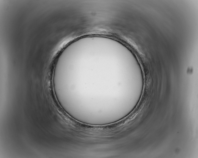 X0000099291455200805020722