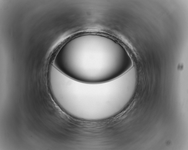 X0000099291456200805020722