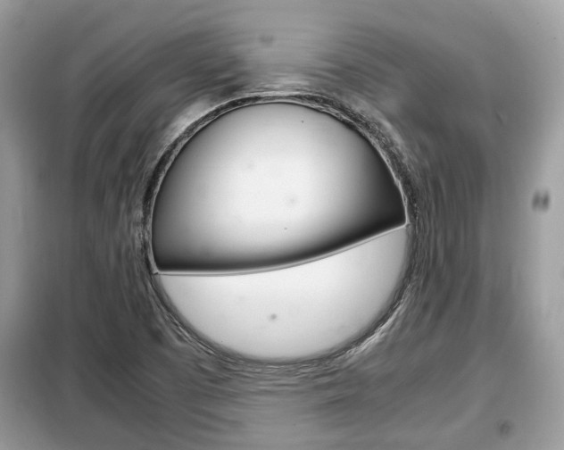 X0000099291457200805020722