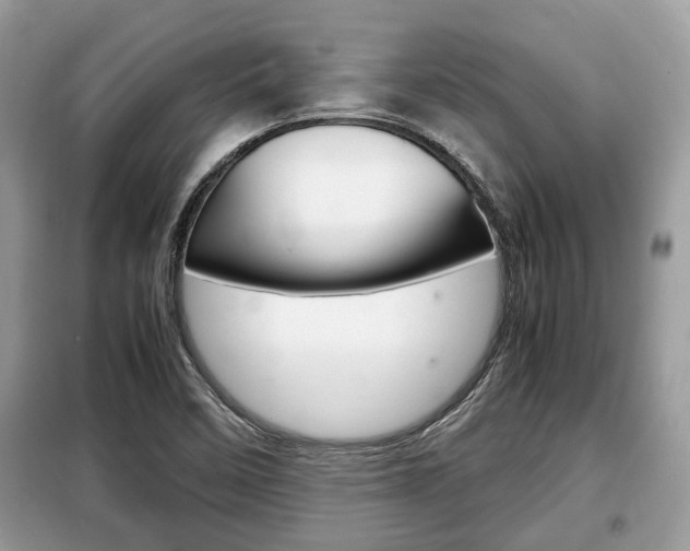 X0000099291458200805020722