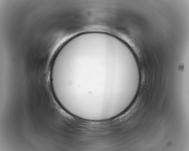 X0000099291462200805020721