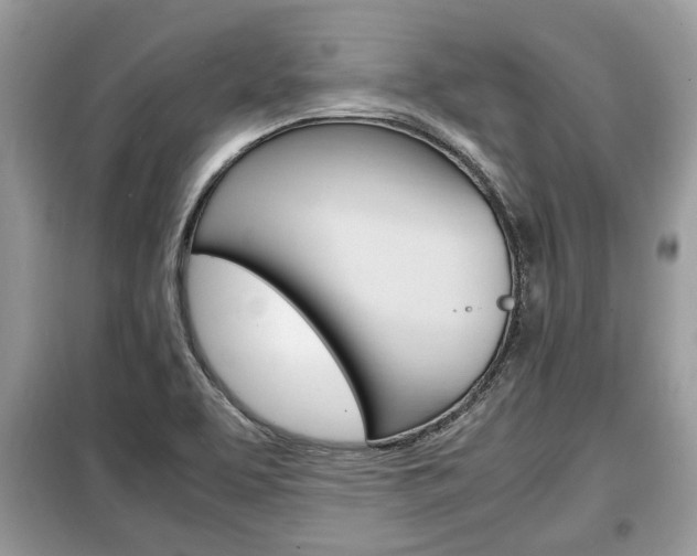 X0000099291463200805020721