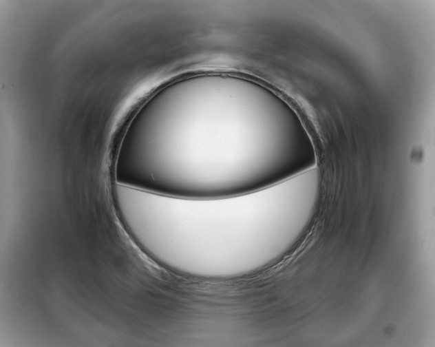 X0000099291464200805020721