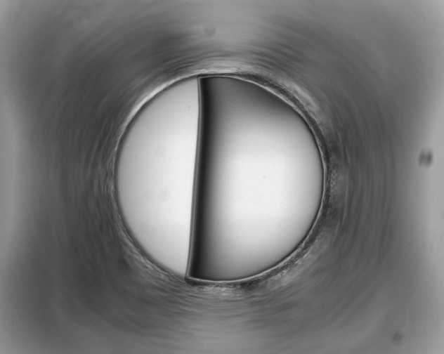 X0000099291465200805020721