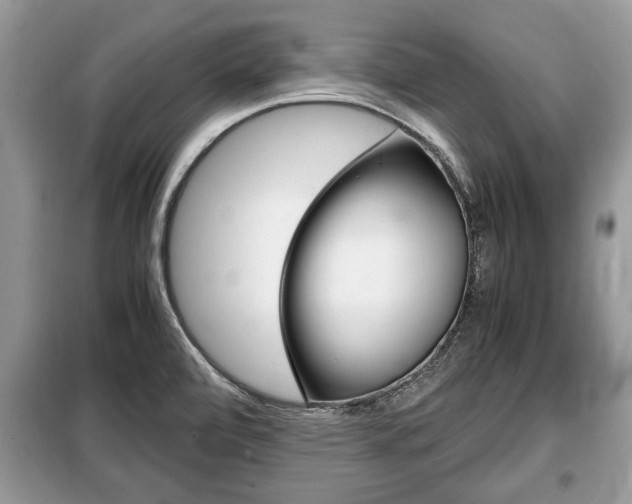 X0000099291472200805020721