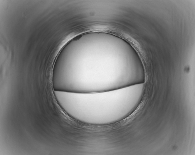 X0000099291473200805020721