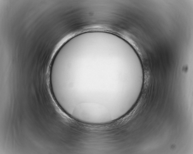 X0000099291474200805020721