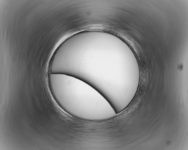X0000099291475200805020721