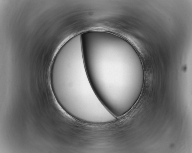 X0000099291476200805020721