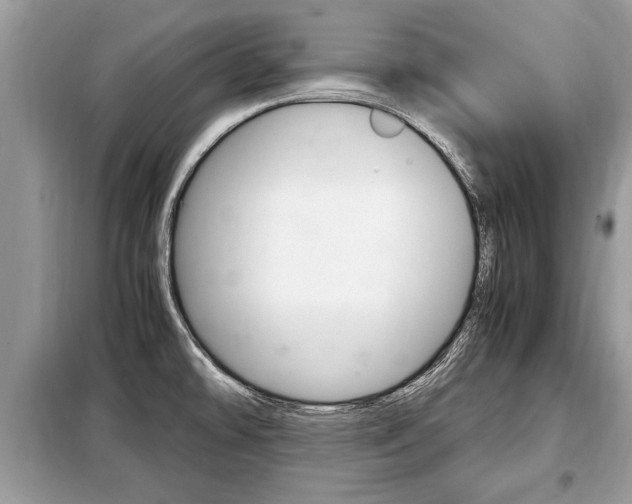 X0000099291478200805020721