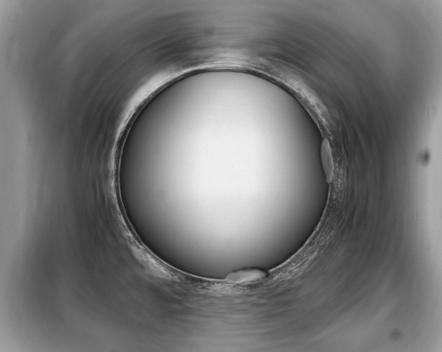 X0000099291480200805020721