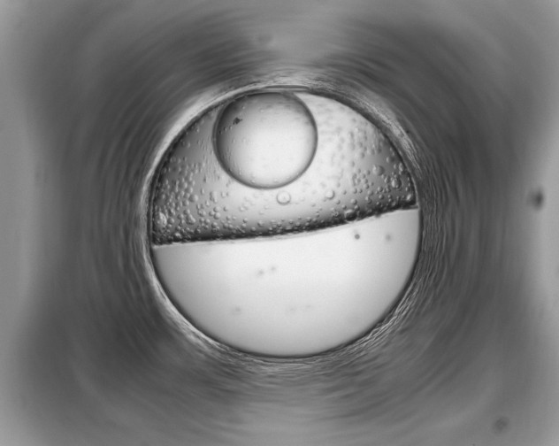 X0000099291483200805020721