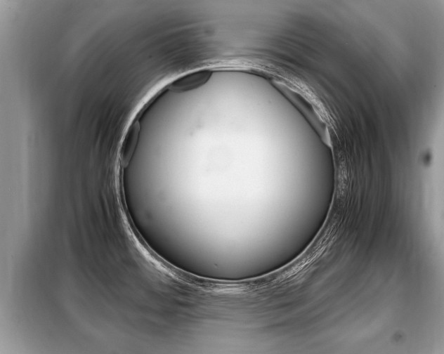X0000099291484200805020721