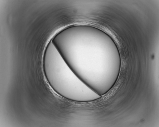 X0000099291485200805020721