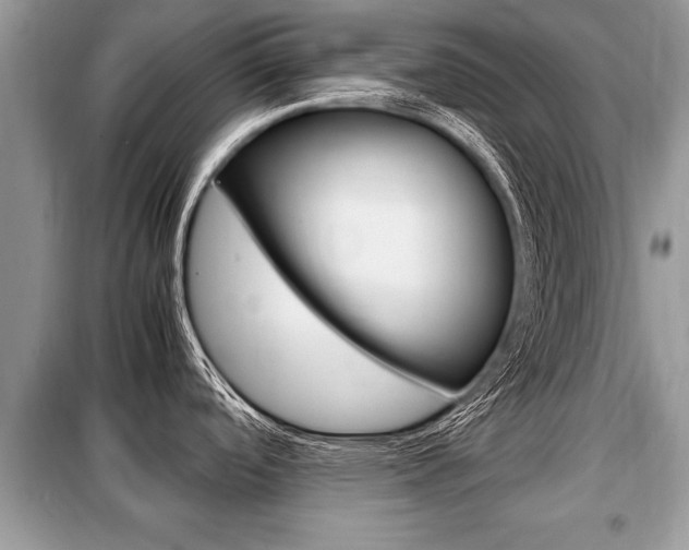 X0000099291488200805020721