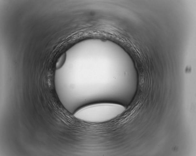 X0000099291490200805020720