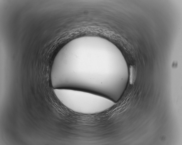 X0000099291491200805020720