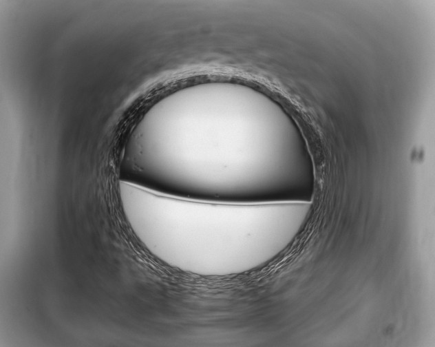 X0000099291495200805020720