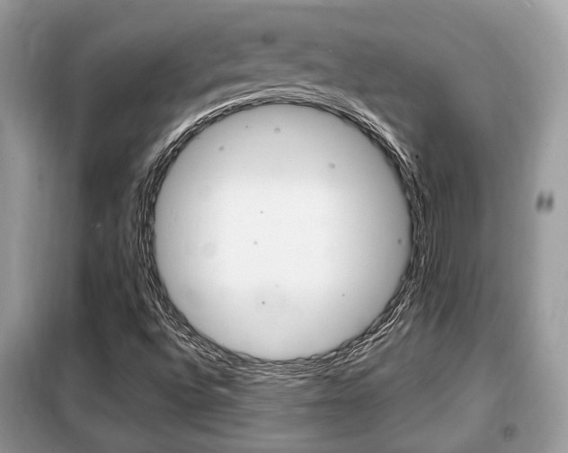 X0000099291496200805020720