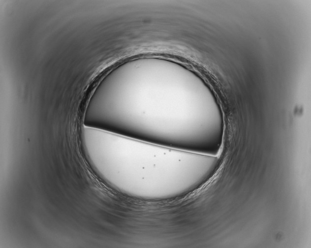 X0000099291497200805020720