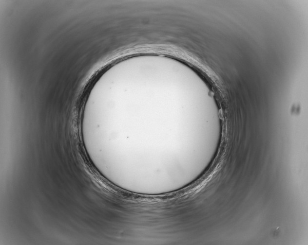 X0000099291498200805020720