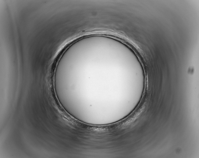X0000099291501200805020720