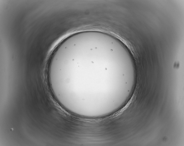 X0000099291502200805020720