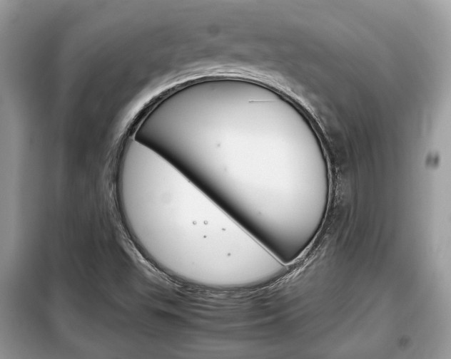 X0000099291503200805020720