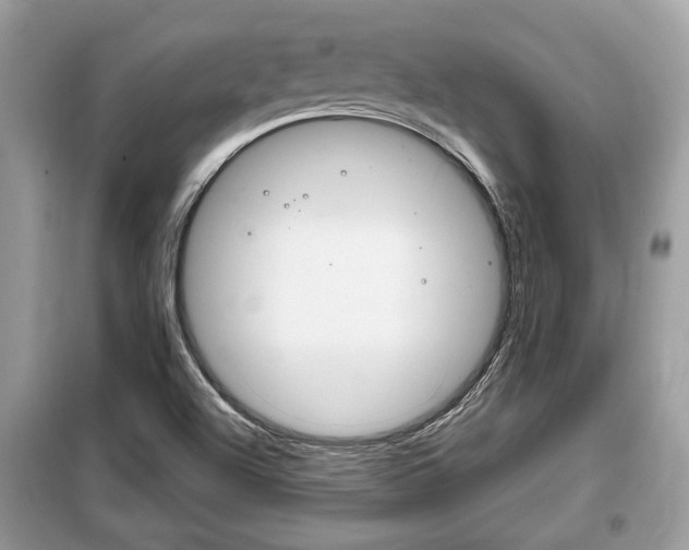 X0000099291504200805020721