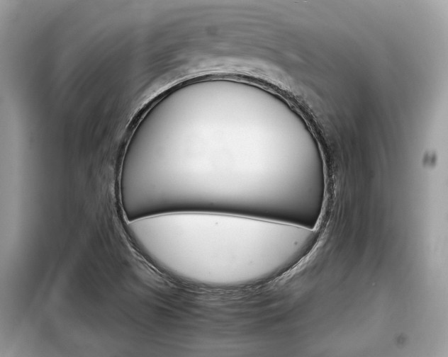 X0000099291505200805020721