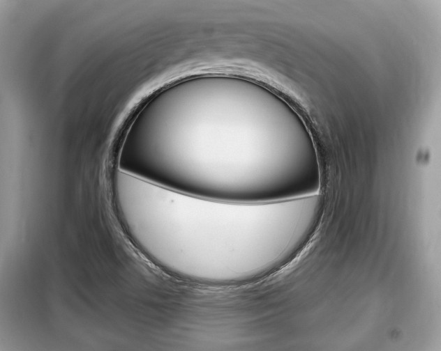 X0000099291506200805020721