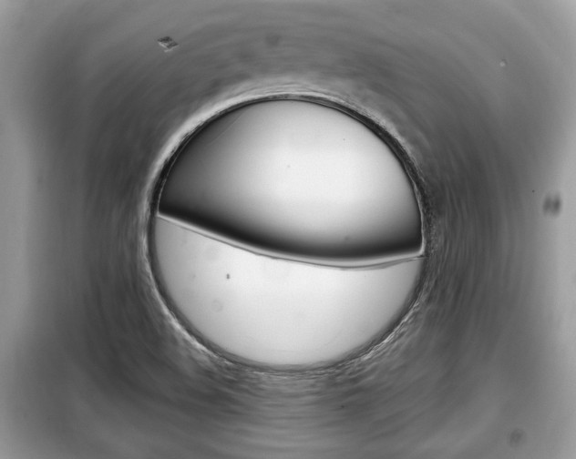 X0000099291508200805020721