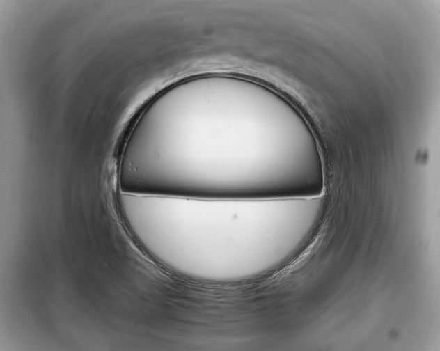 X0000099291509200805020721
