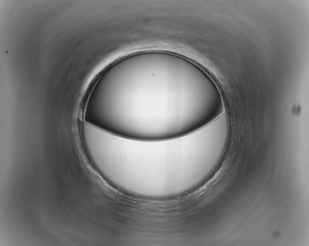 X0000099291510200805020721