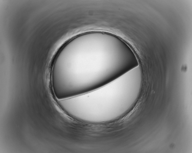 X0000099291511200805020721