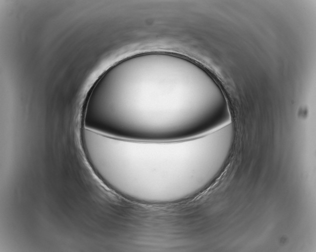 X0000099291512200805020721