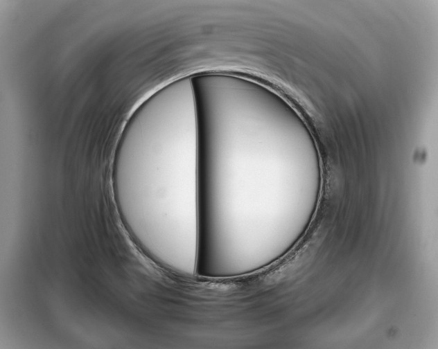 X0000099291513200805020721