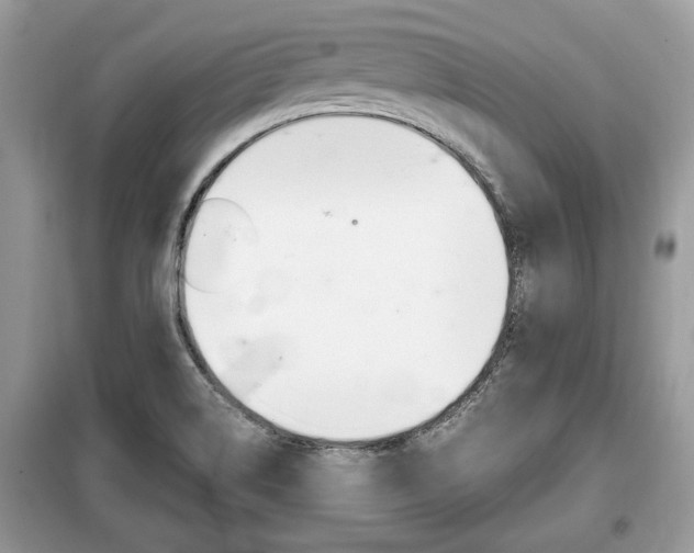 X0000099291514200805020721