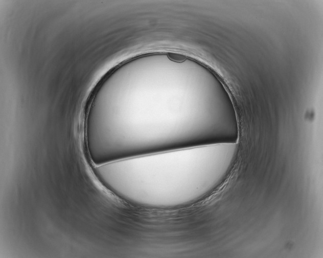 X0000099291515200805020721