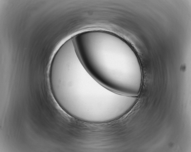 X0000099291516200805020721