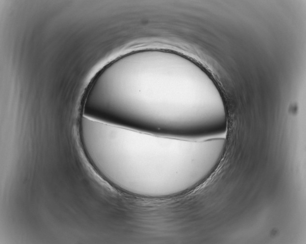 X0000099291518200805020721