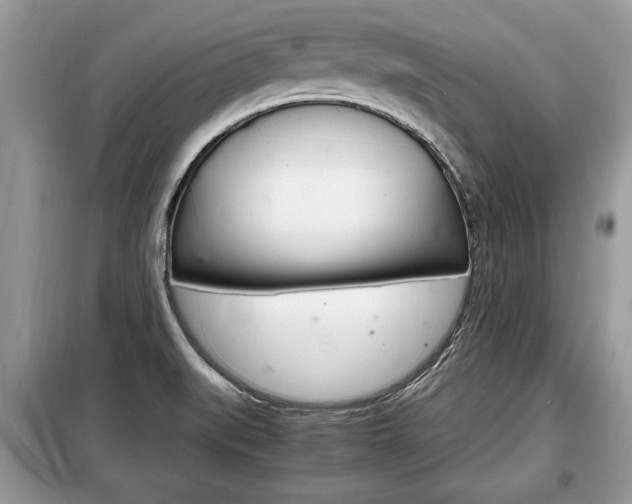 X0000099291519200805020721