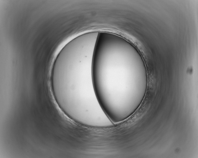 X0000099291520200805020721