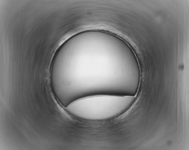 X0000099291521200805020721