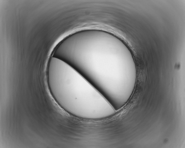 X0000099291522200805020721