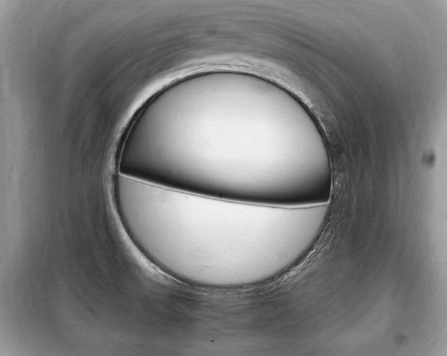 X0000099291523200805020721