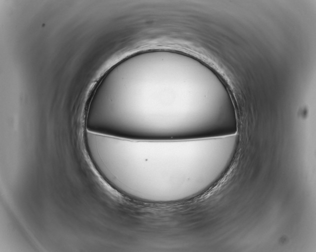 X0000099291525200805020721