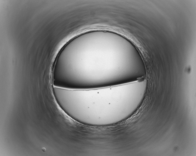 X0000099291527200805020721