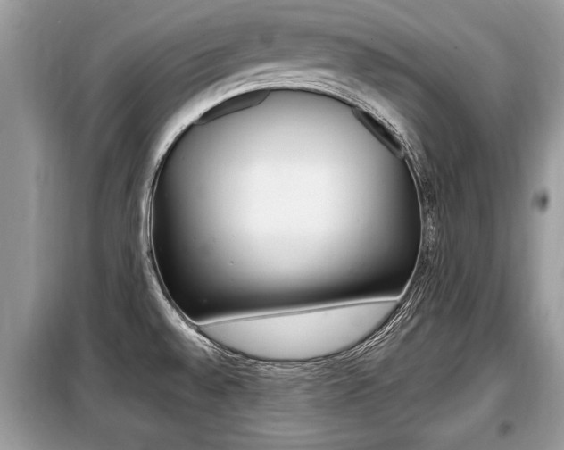 X0000099291528200805020721